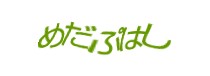 Authentication image