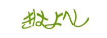 Authentication image
