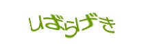 Authentication image